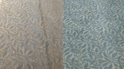 Carpet cleaning and maintenance chemistry Photo